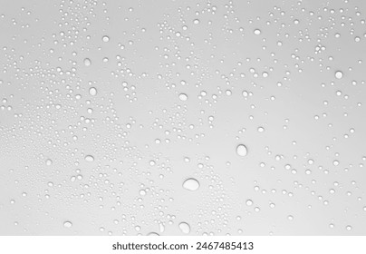 59秀直播平台精彩内容大放送