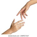 深入解读9822金沙平台的注册流程与账户安全要点 jd80wxw13