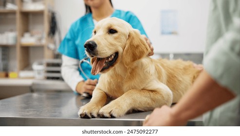 深入解析博天堂918网址的安全性与用户体验