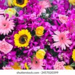 Linux系统下搭建电视直播平台的完整指南 2bkw4w