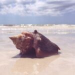 MBC直播在线播放高清流畅观看入口 rwinuas3